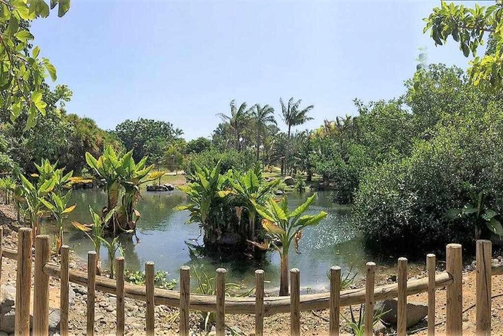 Luxury Flat In Santa Cruz Apartment ภายนอก รูปภาพ
